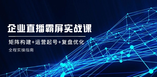 企业直播霸屏实战课：矩阵构建+运营起号+复盘优化，全程实操指南-LH资源分享网