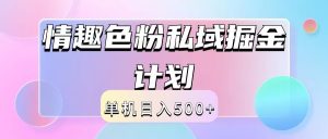 2024情趣色粉私域掘金天花板日入500+后端自动化掘金-LH资源分享网
