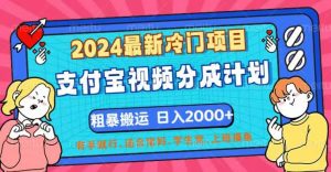 （12407期）2024最新冷门项目！支付宝视频分成计划，直接粗暴搬运，日入2000+，有…-LH资源分享网