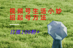 视频号生活小妙招分享赛道， 起号涨粉新方法，日涨100粉-LH资源分享网