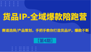 货品IP-全域爆款陪跑营【第4期】赛道选择/产品策划，手把手教你打造货品IP，爆款不断-LH资源分享网