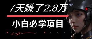 7天赚了2.8万！每单利润最少500+，轻松月入7万+小白有手就行-LH资源分享网