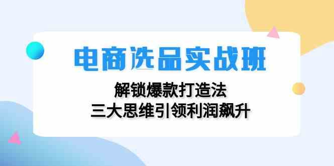 电商选品实战班：解锁爆款打造法，三大思维引领利润飙升-LH资源分享网