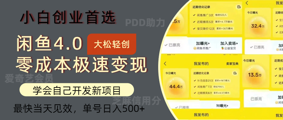 （12434期）闲鱼0成本极速变现项目，多种变现方式 单号日入500+最新玩法-LH资源分享网