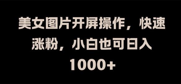 美女图片开屏操作，快速涨粉，小白也可日入1k【揭秘】-LH资源分享网