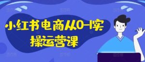 小红书电商从0-1实操运营课，小红书手机实操小红书/IP和私域课/小红书电商电脑实操板块等-LH资源分享网