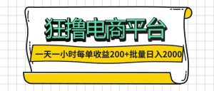 （12463期）一天一小时 狂撸电商平台 每单收益200+ 批量日入2000+-LH资源分享网
