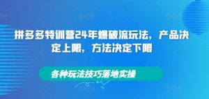 拼多多特训营24年爆破流玩法,产品决定上限,方法决定下限,各种玩法技巧落地实操-LH资源分享网