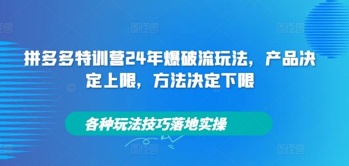 拼多多特训营24年爆破流玩法，产品决定上限，方法决定下限，各种玩法技巧落地实操-LH资源分享网
