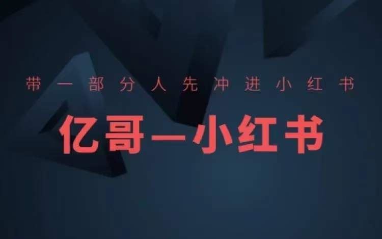 ​​带一部分人先冲进小红书，小红书开店、选品、爆款裂变-LH资源分享网