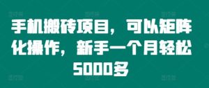 手机搬砖项目,可以矩阵化操作,新手一个月轻松5000多-LH资源分享网