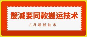抖音96万粉丝账号【嫠㵄㚣】同款搬运技术-LH资源分享网