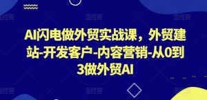 AI闪电做外贸实战课，​外贸建站-开发客户-内容营销-从0到3做外贸AI(更新)-LH资源分享网