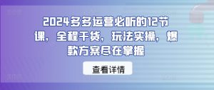 2024多多运营必听的12节课,全程干货,玩法实操,爆款方案尽在掌握-LH资源分享网