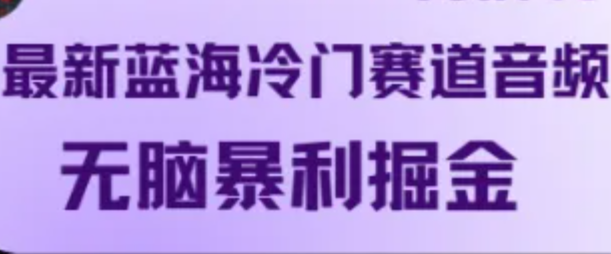 最新蓝海冷门赛道音频，无脑暴利掘金-LH资源分享网