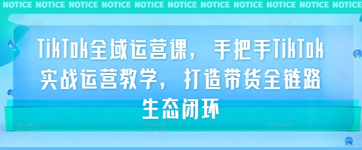 TikTok全域运营课，手把手TikTok实战运营教学，打造带货全链路生态闭环-LH资源分享网
