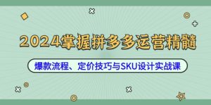 2024掌握拼多多运营精髓:爆款流程、定价技巧与SKU设计实战课-LH资源分享网