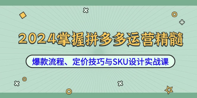 2024掌握拼多多运营精髓：爆款流程、定价技巧与SKU设计实战课-LH资源分享网