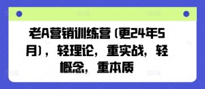 老A营销训练营(更24年9月),轻理论,重实战,轻概念,重本质-LH资源分享网