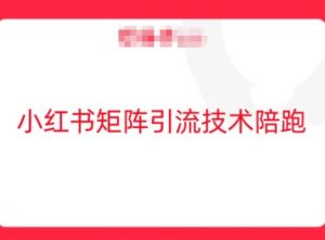 小红书矩阵引流技术,教大家玩转小红书流量-LH资源分享网
