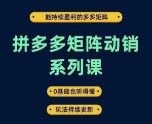 拼多多矩阵动销系列课,能持续盈利的多多矩阵,0基础也听得懂,玩法持续更新-LH资源分享网