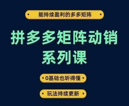 拼多多矩阵动销系列课，能持续盈利的多多矩阵，0基础也听得懂，玩法持续更新-LH资源分享网