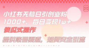 小红书无脑每日引流创业粉500+,小白每天只花半小时,躺赚长尾收益【揭秘】-LH资源分享网