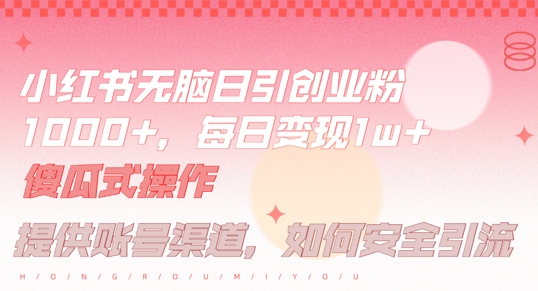 小红书无脑每日引流创业粉500+，小白每天只花半小时，躺赚长尾收益【揭秘】-LH资源分享网
