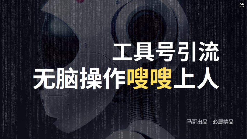 24年抖音最新工具号日引流300+创业粉，日入5000+-LH资源分享网