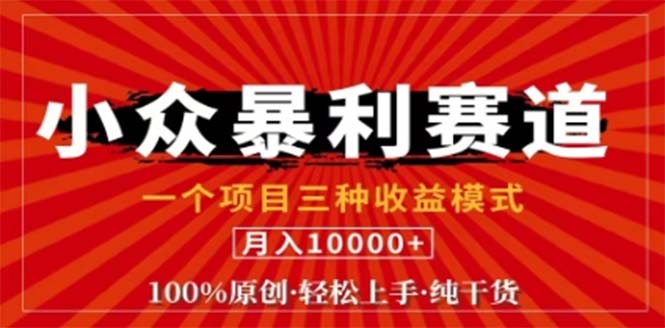 视频号最新爆火赛道，三种可收益模式，0粉新号条条原创条条热门 日入1000+-LH资源分享网