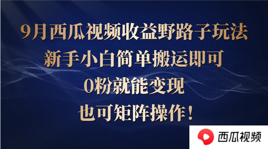 西瓜视频收益野路子玩法，新手小白简单搬运即可，0粉就能变现，也可矩…-LH资源分享网