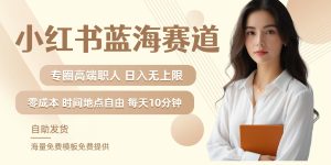 小红书蓝海赛道,圈中高端职场人,月入无上限,可矩阵,内含私域实操教程!-LH资源分享网