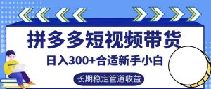 拼多多短视频带货日入300+有长期稳定被动收益,合适新手小白【揭秘】-LH资源分享网