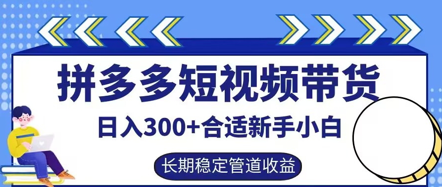 拼多多短视频带货日入300+有长期稳定被动收益，合适新手小白【揭秘】-LH资源分享网