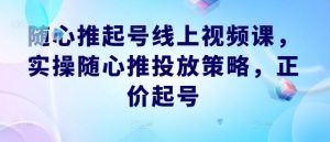 随心推起号线上视频课,实操随心推投放策略,正价起号-LH资源分享网