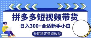 拼多多短视频带货日入300+,实操账户展示看就能学会-LH资源分享网