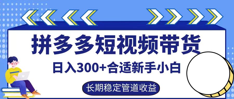 拼多多短视频带货日入300+，实操账户展示看就能学会-LH资源分享网