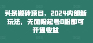头条搬砖项目,2024内部新玩法,无风险起号0粉即可开通收益-LH资源分享网
