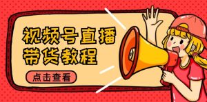 视频号直播带货教程：选品思路与话术拆解/掌握多种带货套路/提升直播效果-LH资源分享网