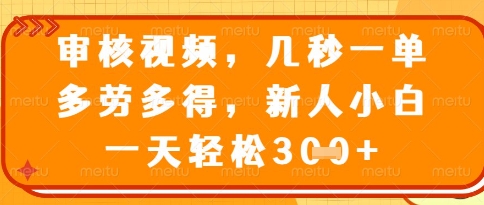 视频审核员，几秒一单，不限时间，不限地点，多做多得，新人小白一天轻松几张+【揭秘】-LH资源分享网