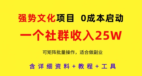强势文化项目，一个社群收入25个W，0成本启动，可矩阵批量操作，原创详细实操教程-LH资源分享网