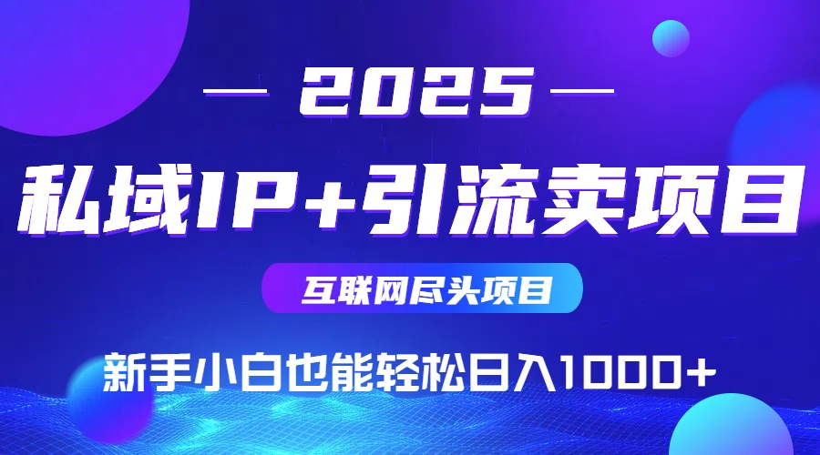 私域IP+卖项目，普通人小白也能轻松实现日入1000+-LH资源分享网
