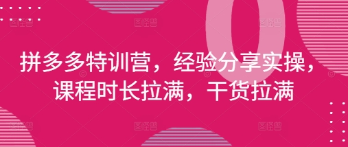拼多多特训营，经验分享实操，课程时长拉满，干货拉满(更新25年4月)-LH资源分享网