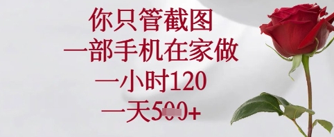 你只管截图，一部手机在家可以做，一小时120.一天5张+【揭秘】-LH资源分享网