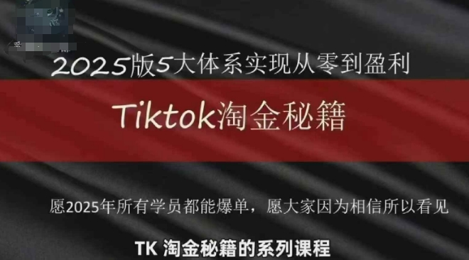 TikTok跨境2025淘金秘籍，​2025TikTok从0到盈利变现-LH资源分享网