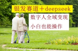 银发赛道+deepseek数字人全域变现，小白也能操作-LH资源分享网