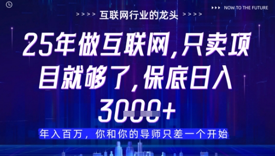 什么！25年你还在找项目做？风口早就变了，卖项目才是稳挣不赔【揭秘】-LH资源分享网