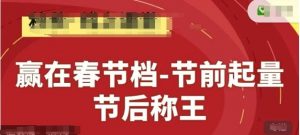 赢在春节档-节前起量，后称王，淘系精品线上系列课-LH资源分享网