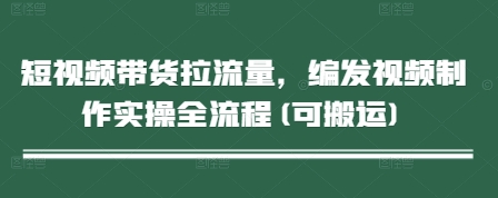 短视频带货拉流量，编发视频制作实操全流程(可搬运)-LH资源分享网