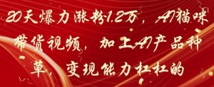 20天爆力涨粉1.2W，AI猫咪带货视频，加上AI产品种草，变现能力杠杠的-LH资源分享网